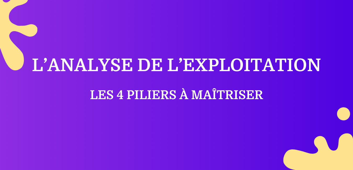 L’analyse de l’exploitation _ Les 4 piliers à maîtriser